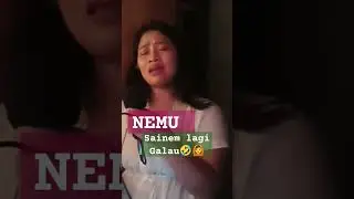 NEMU SAINEM COVER GALO