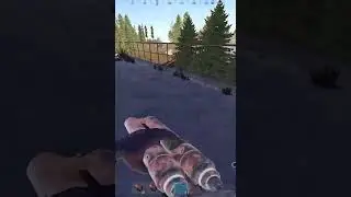 zipline ...