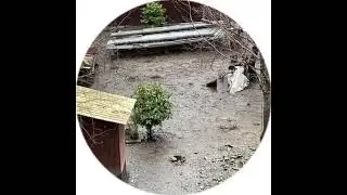 КОРЕШ И ГОРИЛЫЧ В СОЧИ