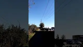 05 сентября 2024_Московская обл_Тучково_р.Восточный #тучково #восточныйрайон