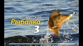 ДНЕВНОЙ  СТРИМ ПО РР3
