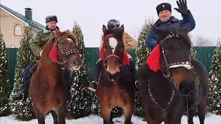 HORSES🐎NEW YEAR'S GREETINGS FROM HORSE BREEDERS!