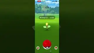 Spotlight Hour - Bellsprout and 2x Transfer Candy #shorts
