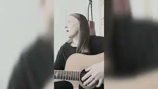 Там где клён шумит, Синяя птица (текст и Аккорды в описании). 