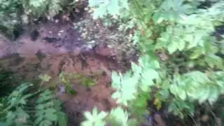 Исток Западной Березины