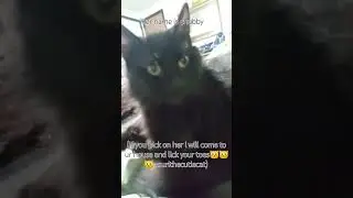 She's my cousin 😸🩷