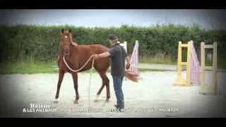 Teaser : Communiquer autrement avec les animaux