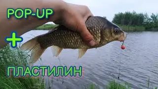 Ловля карася на флет метод. Рыбалка после нереста