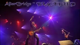 Alter Bridge - Blackbird