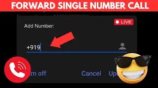 How To Forward Single Number Call to another number | 100% Working | Updated | 2024