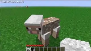 Minecraft Flat map plus Link in description!