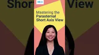 Mastering the Parasternal Short Axis View #Shorts #echocardiography #pediatrics