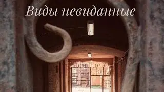 Виды Невиданные''. Санкт-Петербург.Моменты города.Автор Амосова Елена.