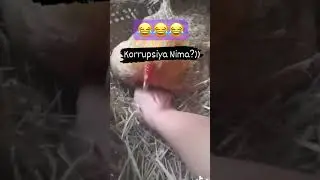 Korrupsiya haqida 😂😂😂