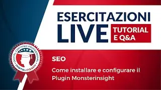 Come installare e configurare il Plugin Monsterinsight