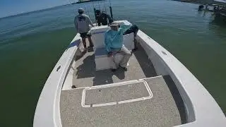 Valhallasent17 Snook snatchin final. ft a pod of dolphins