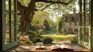 quiet summer morning 🌿 relaxing piano playlist for reading, studying & calm focus