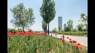 Yeouido Hangang Park (여의도한강공원) in Seoul, South Korea