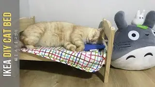 DIY Cat Bed - How To Make A Cat Bed