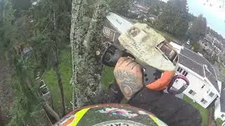 Alder removal in Tsawassen