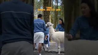 Referensi libur lebaran tahun ini!