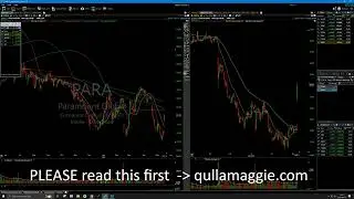 How long will this bear market rally last?