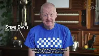 Orchid Patron, Steve Davis