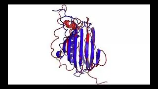 Deep Learning for protein structure predictions (2020)