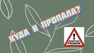 Куда же я пропала?