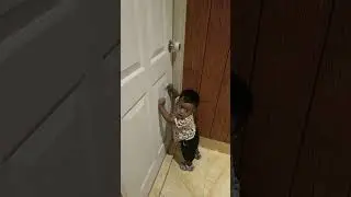 নারী