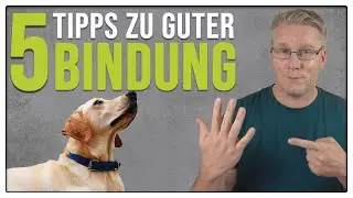 Instantly improve your bond! - 5 tips for a good relationship between humans and dogs