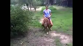 Pony Precioso
