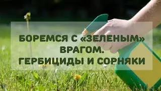 Как бороться с сорняками!? Пользоваться гербицидами.
