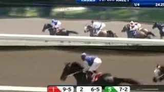 ARLINGTON PARK, 2010-05-27, Race 1