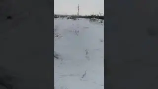 поезд 2ЭС6 грузовой