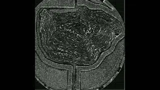 3d ink detection scroll 1