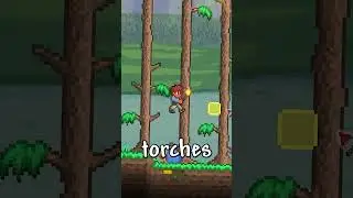 tips for finding caves in Terraria