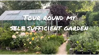 Self sufficiency ! Tour round my veggie garden 💕 #selfsufficiency #growyourownfood #sustainability