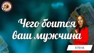 Чего боится ваш мужчина? Таро расклад. Елена Удре
