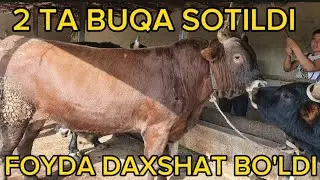 FOYDA ZO'R BO'LDI