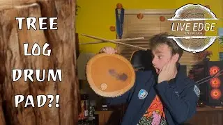 Is This Tree Drum Pad As Good As It Looks?!