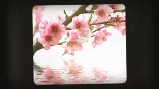 animoto 720p47