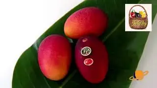 Descubre cual es mango más caro del mundo y su precio