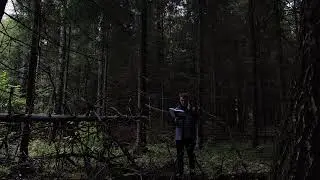 Спящая красавица