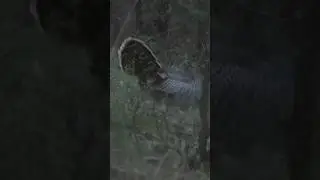 You ever had this happen?
