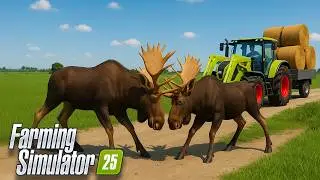These MODS will BOOST your ANIMALS by 10 Levels in Farming Simulator 25!