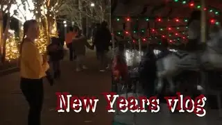 New Year’s Day Vlog | Busch Gardens // natalie