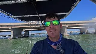skyway bridge, cast netting, live bait and jig fishing techniques that work wherever you go