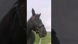 mein erstes mal richtig mit meinem Gesicht 😫🙃 Last wenn ihr möchtet eibLike da 💕