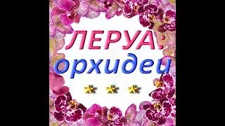 ОРХИДЕИ - НОВЫЙ ЗАВОЗ в ЛЕРУА,13.01.2019г. (ТЦ 